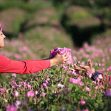 "COTTON CASTLE" Turkish Mosaic Lamp DIY Kit - Mosaic Art Studio Vancouver