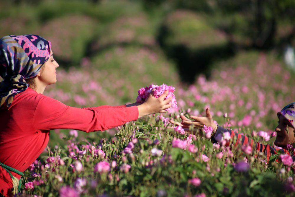 "COTTON CASTLE" Turkish Mosaic Lamp DIY Kit - Mosaic Art Studio Vancouver